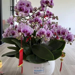 Biệt thự R26 - khu dân cư Villa Thủ Thiêm