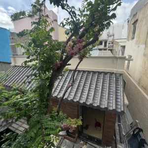 Phòng trưng bày-CMT8
